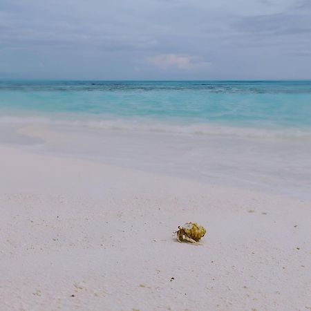 Bougan Villea Retreat Bodufolhudhoo Eksteriør bilde