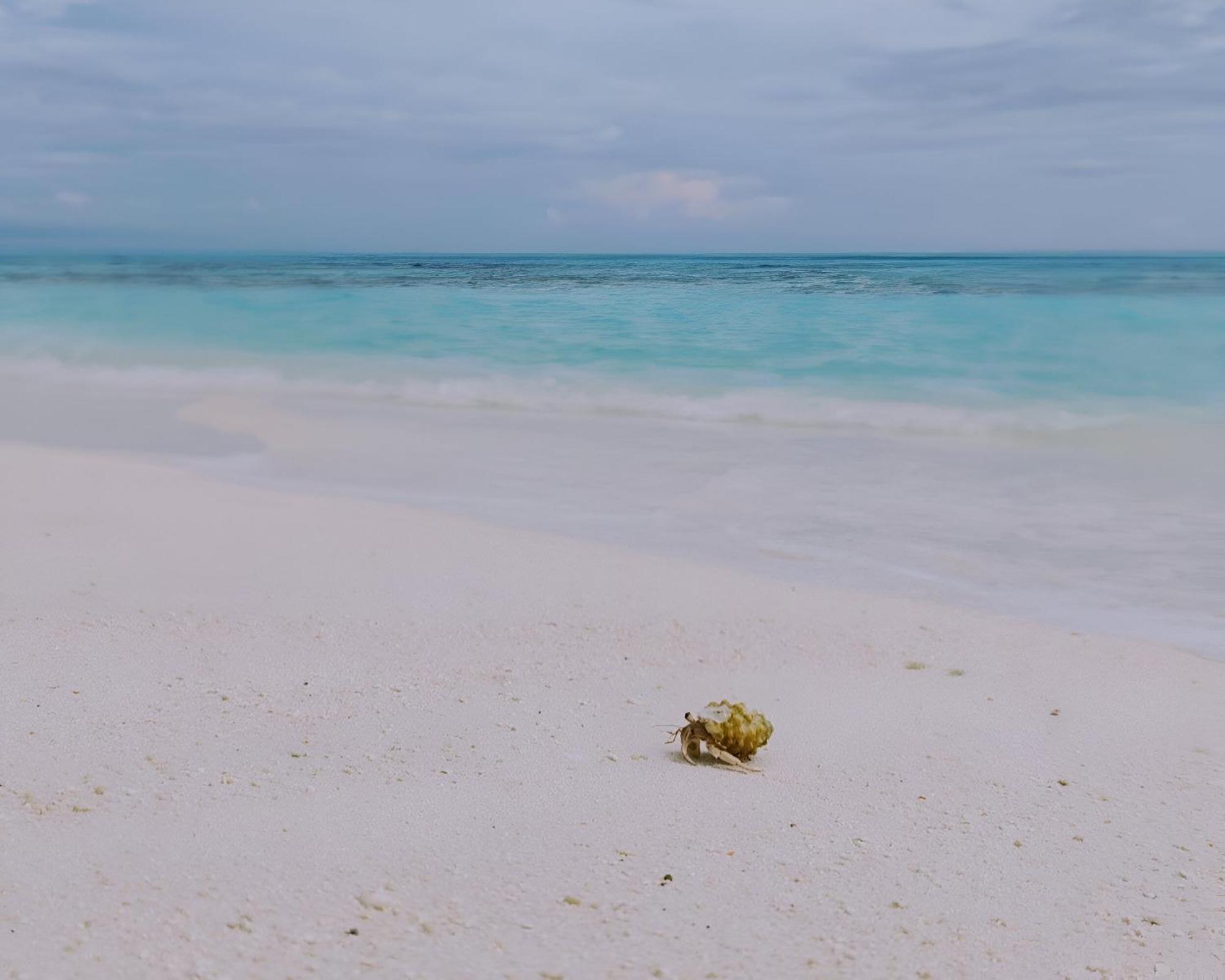 Bougan Villea Retreat Bodufolhudhoo Eksteriør bilde
