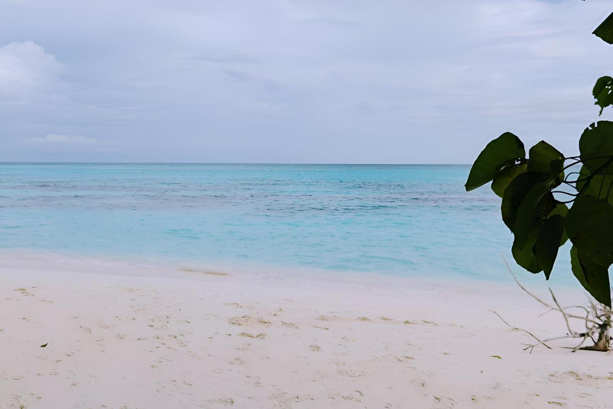 Bougan Villea Retreat Bodufolhudhoo Eksteriør bilde